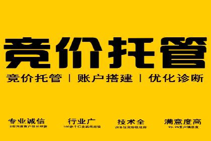 案例分享：竞价推广代运营助力企业拓展海外市场